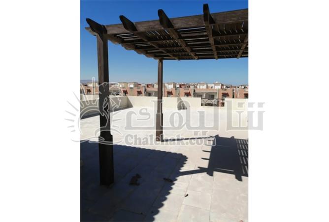 7935807 - Property Image 3