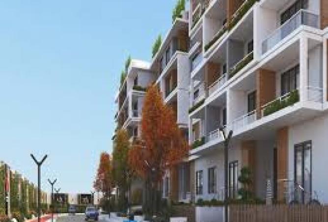 7945987 - Property Image 3