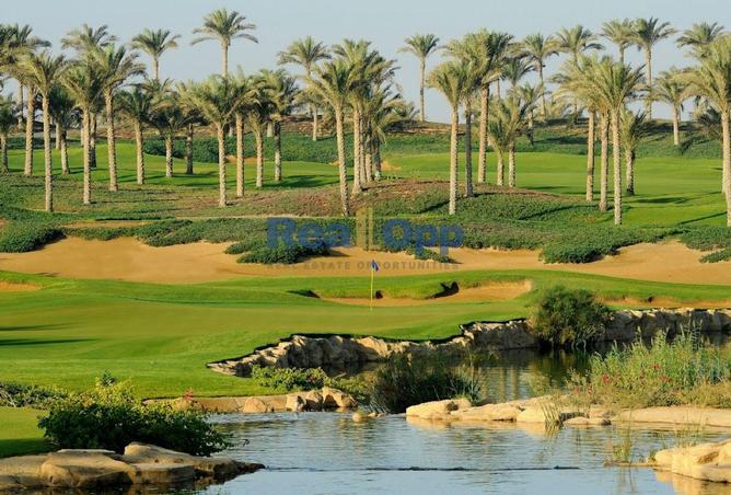 8462911 - Property Image 2