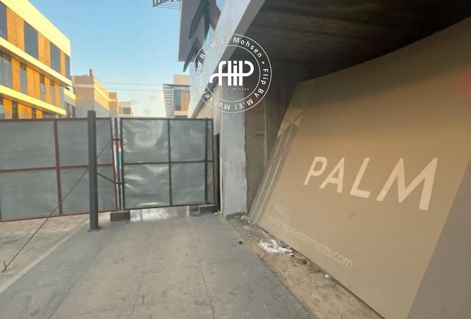 8442254 - Property Image 3