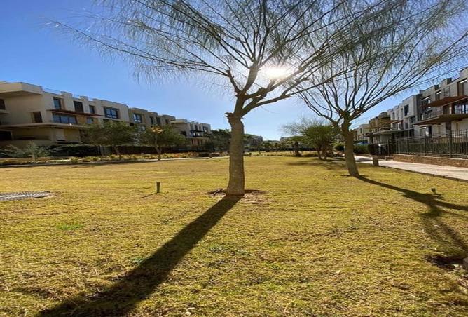 8022388 - Property Image 2