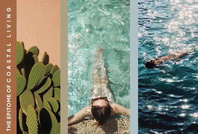 8239662 - صورة العقار 2