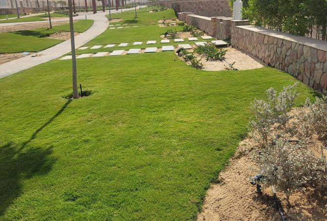 8003815 - صورة العقار 3
