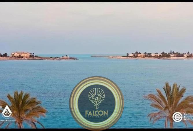 8406357 - صورة العقار 2