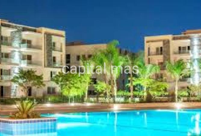 7921037 - Property Image 3