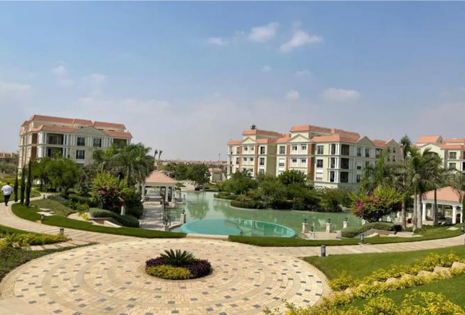 7907900 - صورة العقار 2