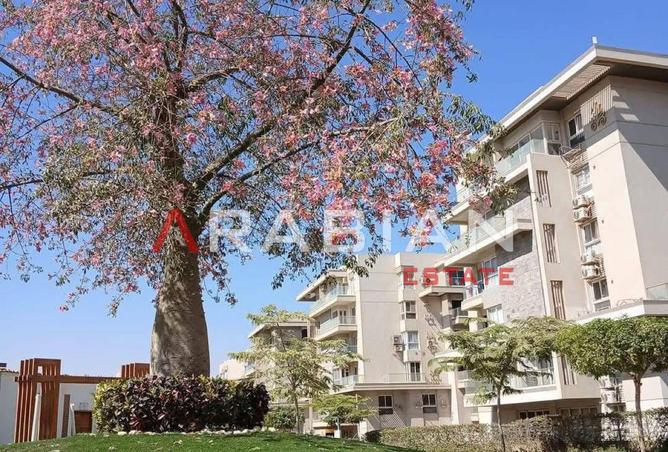 7948000 - Property Image 3