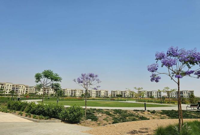 8246434 - Property Main Image