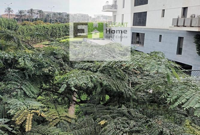 8492929 - Property Image 3