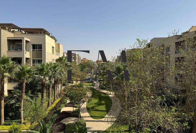 8436384 - Property Image 3