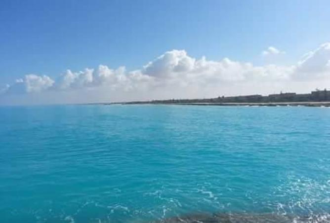 8347981 - صورة العقار 2