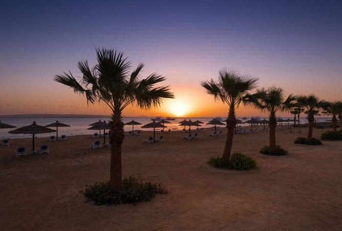 7956179 - صورة العقار 3