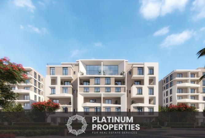 8423152 - Property Image 3