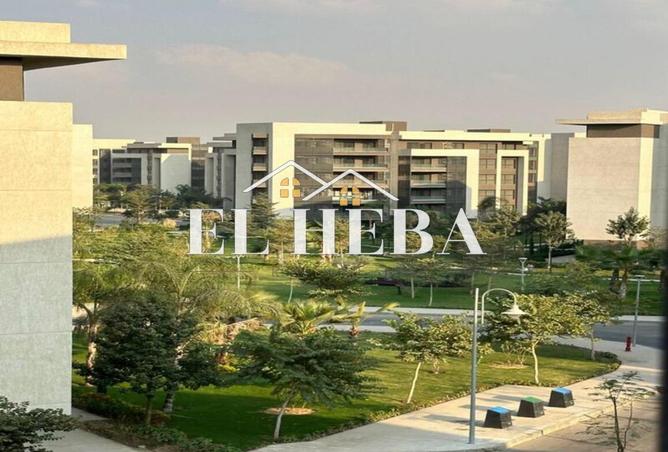 7319020 - صورة العقار 3