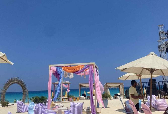 8421195 - صورة العقار 2