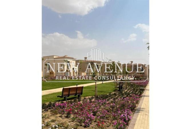 8296029 - Property Image 3