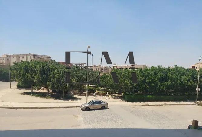 8351195 - Property Image 2