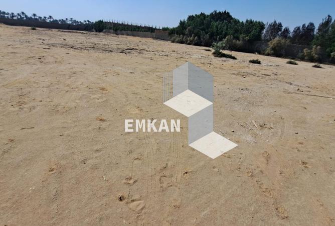 8554770 - صورة العقار 3