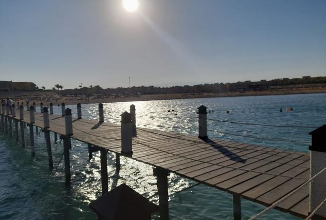 7965794 - صورة العقار 3