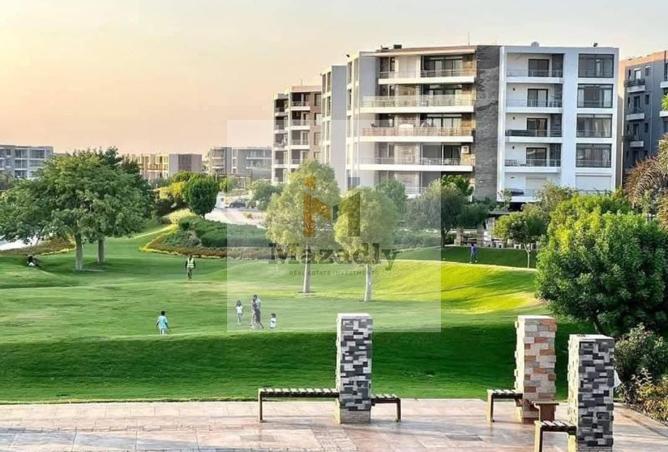 7961751 - صورة العقار 2