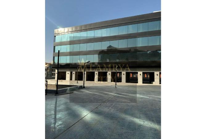 8330314 - Property Image 3