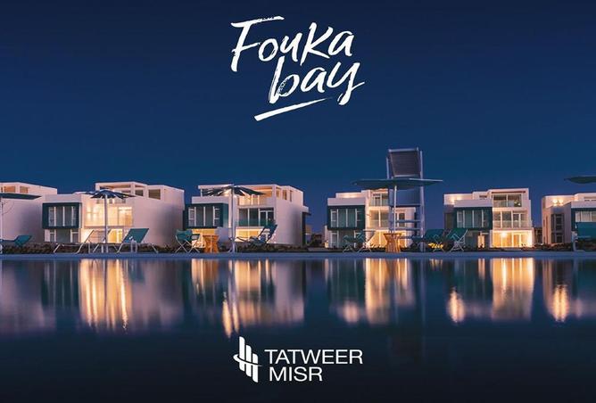 8164578 - Property Image 2