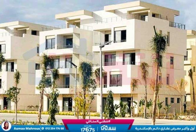 8399123 - الصورة الرئيسية للعقار