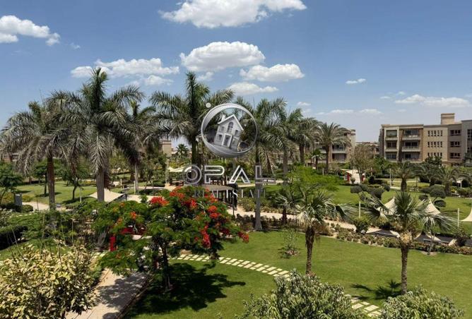 8377119 - Property Image 3