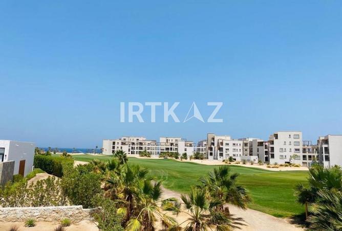 8074387 - Property Image 3