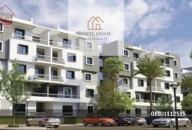 8381218 - Property Image 3