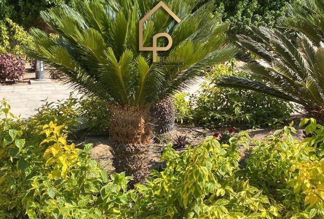 8243817 - صورة العقار 3