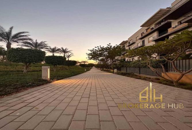 7981581 - صورة العقار 3