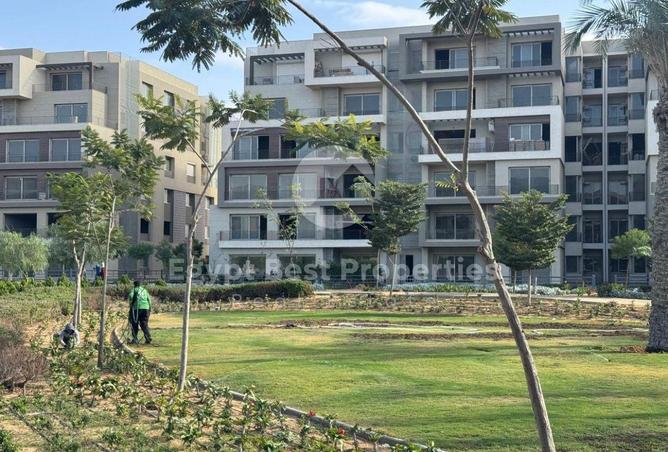 8204558 - صورة العقار 2