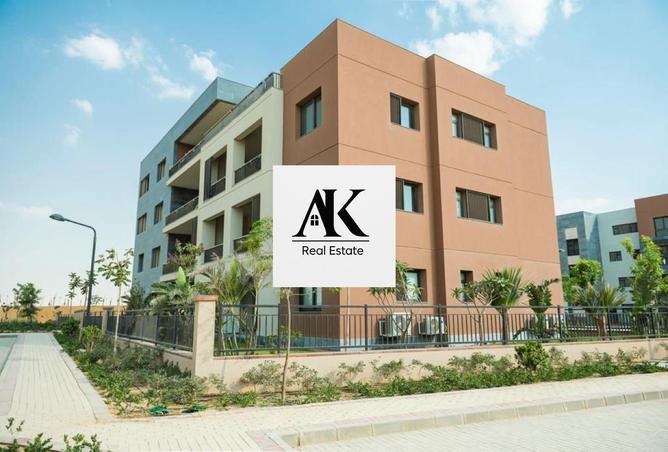 8081505 - Property Image 3
