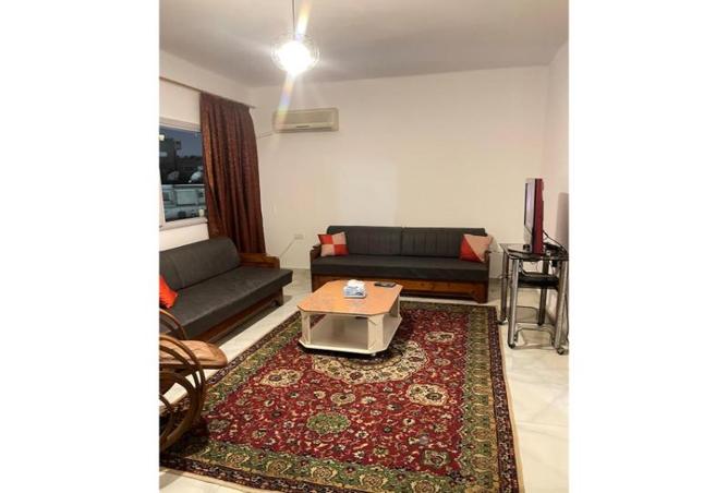 7995822 - صورة العقار 3