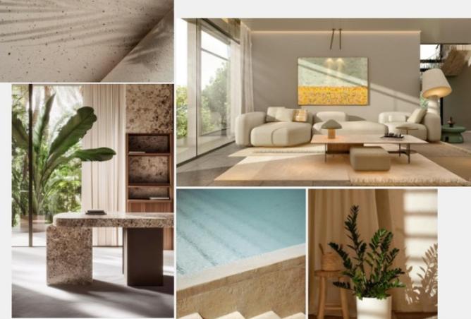 8394927 - Property Image 3