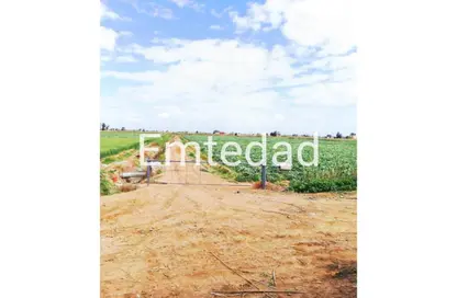 مزرعة - استوديو للبيع في طريق الفيوم الصحراوى - مدينة 6 أكتوبر - الجيزة