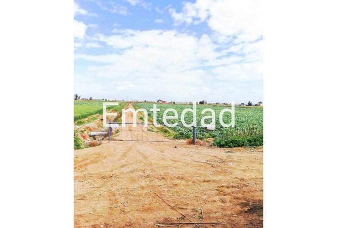 8220008 - Property Main Image