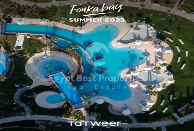 8190531 - Property Image 3