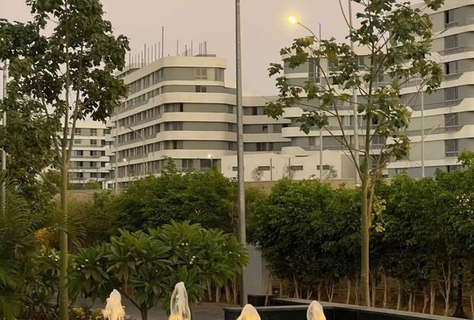 8396227 - Property Image 3