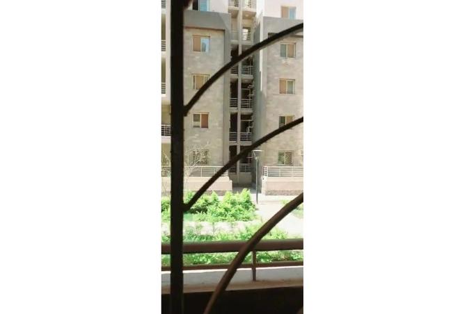 7964725 - صورة العقار 2