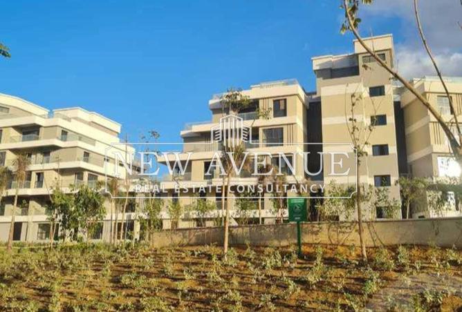 8095415 - Property Image 2