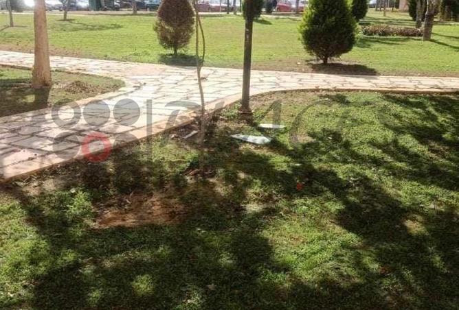 8561274 - صورة العقار 3