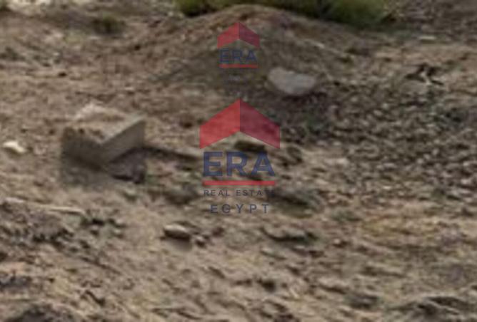 6858040 - Property Image 2