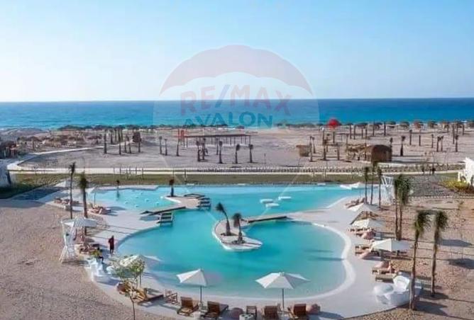 6639498 - Property Image 3