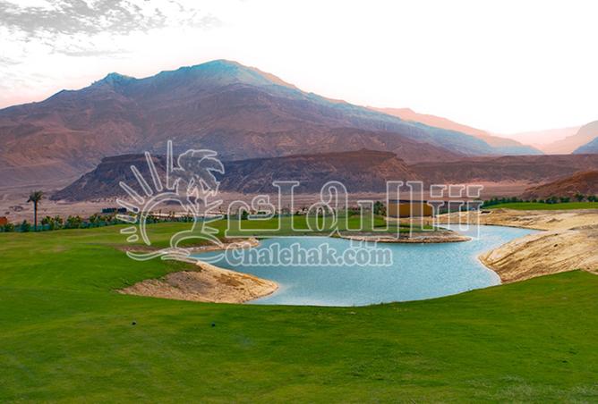 8416301 - Property Image 2