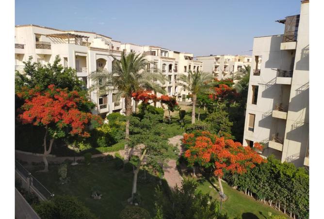 8339287 - الصورة الرئيسية للعقار