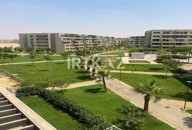 8442784 - صورة العقار 3