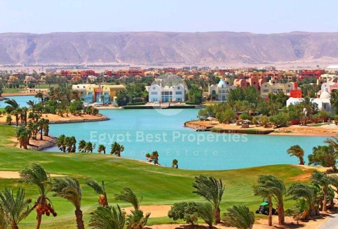 7976744 - صورة العقار 3