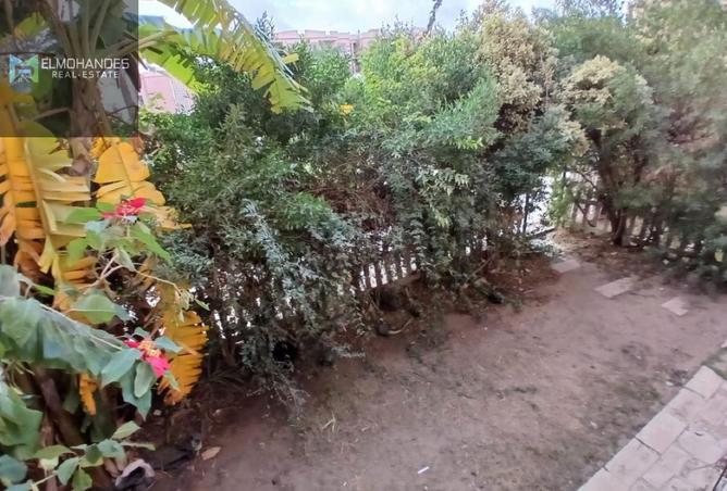 8542646 - Property Image 3